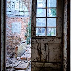  Bild in der Galerie von York Zühlsdorf